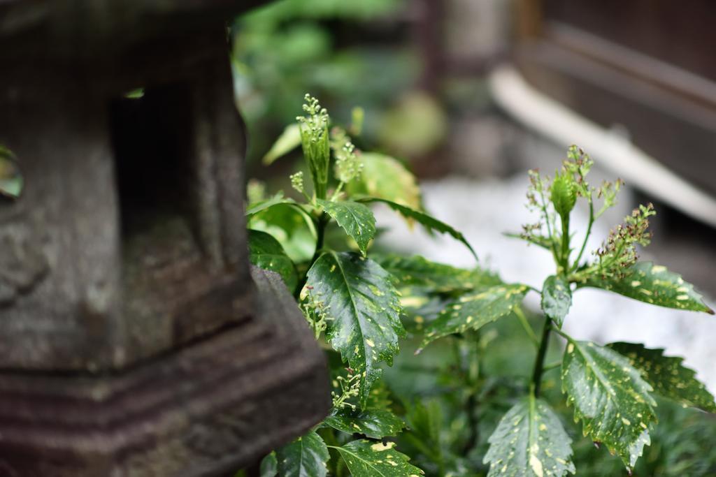 Rakusuian Hotel Kyoto Bagian luar foto